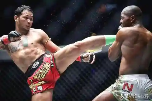 泰拳之王推荐阵容搭配图(塔王之王2最强阵容)插图1 泰拳之王推荐阵容搭配图(塔王之王2最强阵容)插图1