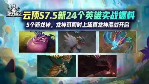 神龙泰拉阵容搭配(永恒之森阵容搭配)插图1