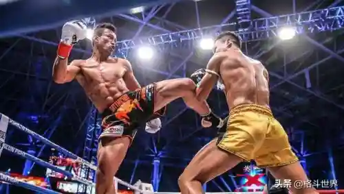 泰拳之王推荐阵容搭配图(塔王之王2最强阵容)插图2 泰拳之王推荐阵容搭配图(塔王之王2最强阵容)插图2