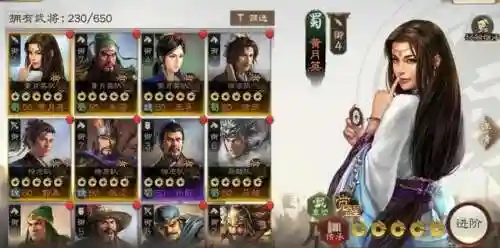 战棋刘备荀彧阵容搭配最新(荀彧郭嘉程昱最强阵容)插图3