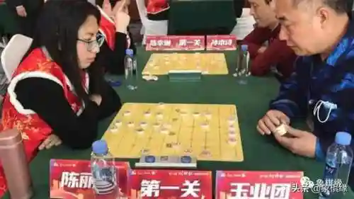 英杰擂台阵容怎么搭配最强(决斗大师阵容搭配)插图2