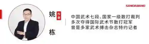 主流格斗流派推荐阵容搭配(格斗家配什么阵容)插图4