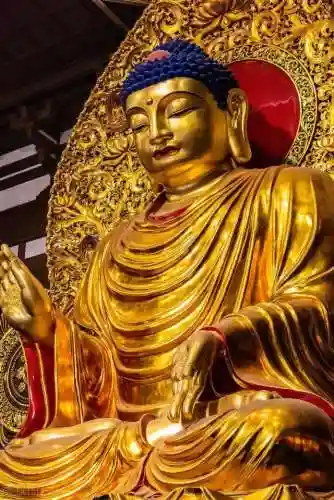 佛祖防守阵容搭配推荐最新(守塔不能停阵容搭配)插图6