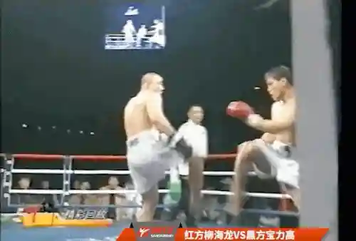 主流格斗流派推荐阵容搭配(格斗家配什么阵容)插图1