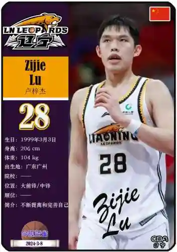 辽宁队总决赛第一回合阵容(辽宁男篮首发阵容)插图9