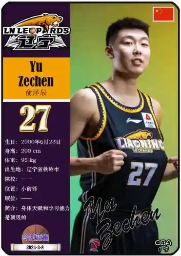辽宁队总决赛第一回合阵容(辽宁男篮首发阵容)插图12
