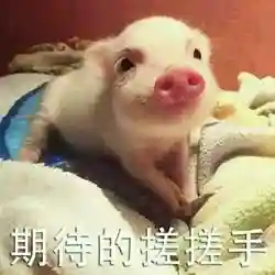 荒野小乱斗极限推塔阵容(荒野乱斗无限大招版)插图2