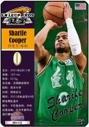 辽宁队总决赛第一回合阵容(辽宁男篮首发阵容)插图10