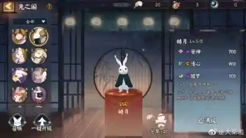 真实之羽活动阵容推条(剑盾对战塔阵容推荐)插图11