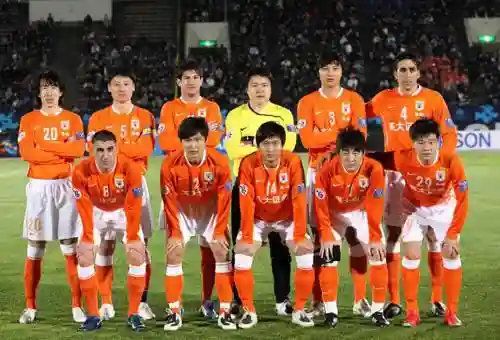 山东鲁能亚冠历届阵容成员(山东鲁能队员大名单)插图2