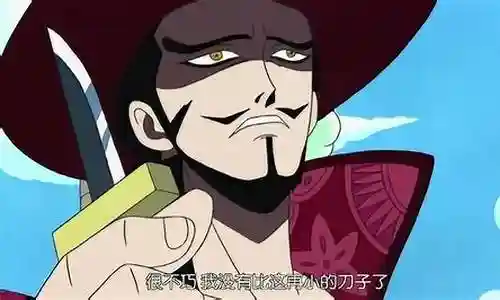 索隆搭配鹰眼阵容插图