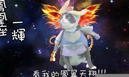 神冰河搭配什么阵容好插图