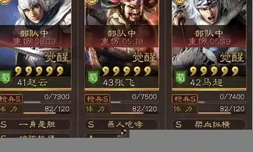 张飞关羽赵云阵容搭配插图
