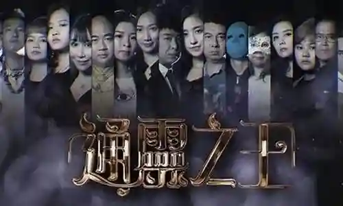 通灵之战最强阵容搭配表插图