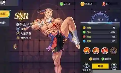 泰拳防身推荐阵容搭配图插图