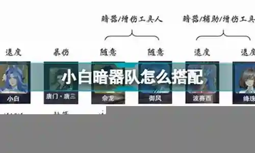 小白暗杀队阵容搭配插图