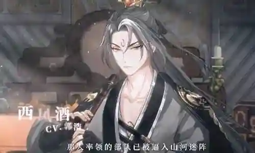西凤酒搭配阵容插图