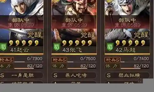 雨神赵云阵容搭配图插图