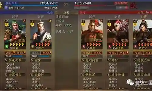 白板华佗阵容怎么搭配插图