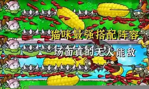植物大战僵尸猫咪阵容搭配插图