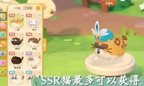 双拼猫咪阵容搭配攻略插图