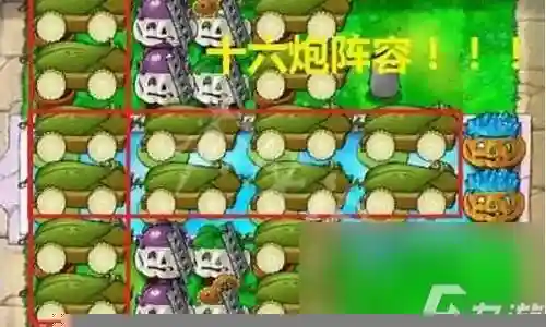 最强植物搭配推荐阵容图片插图