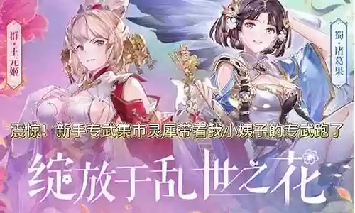 三国志幻想大陆最终阵容插图