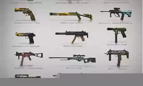 csgo游戏里看武器皮肤插图