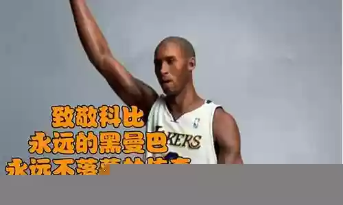 黑曼巴阵容插图