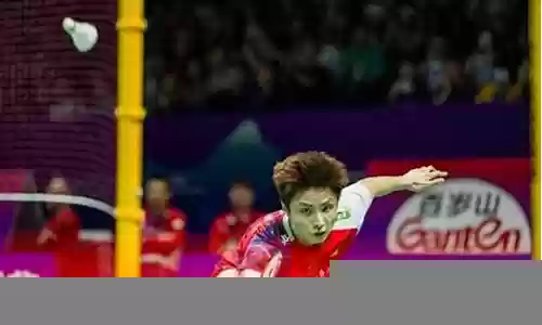 国羽男队阵容插图