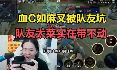 坑队友阵容插图