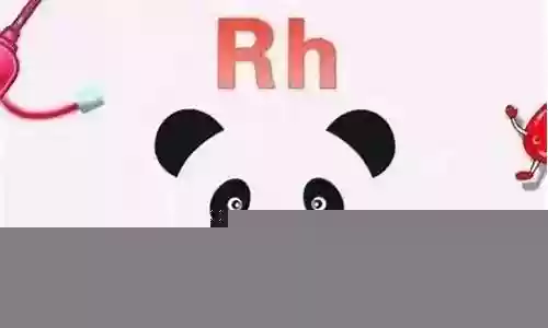 熊猫血阵容插图