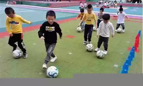 幼儿园阵容插图