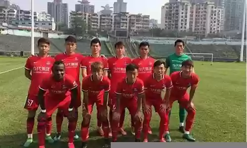 重庆力帆阵容插图