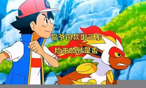 智爷的阵容插图