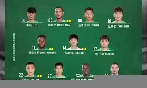 北京国安季后赛阵容插图