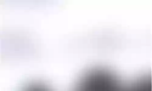 19年泰达阵容插图