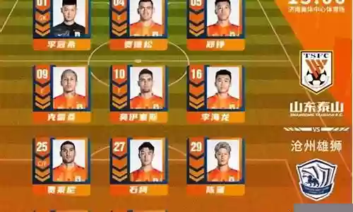山东泰山历年阵容图插图