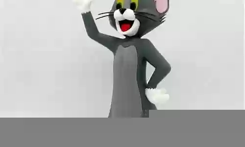 汤姆猫阵容插图