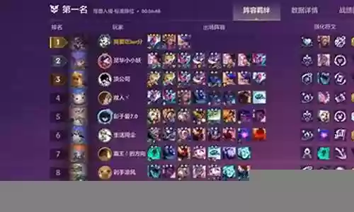 精英战阵容插图
