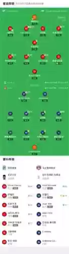 国民队阵容插图
