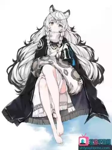 小林汤圆阵容插图1