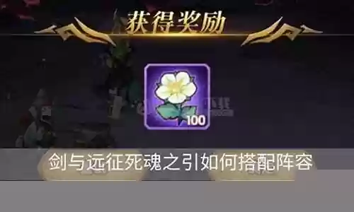 次元神花如何搭配阵容插图