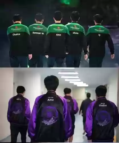 psglgd现在阵容插图