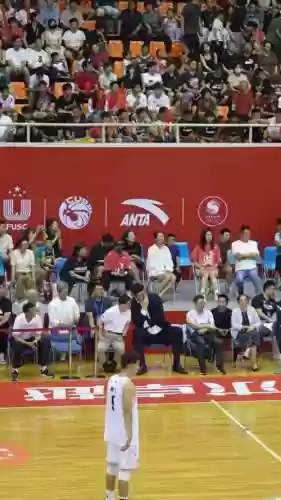 巅峰华侨阵容插图1