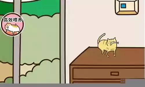 猫咪田园朋友攻略插图
