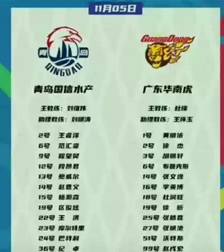 广东阵容名单插图1