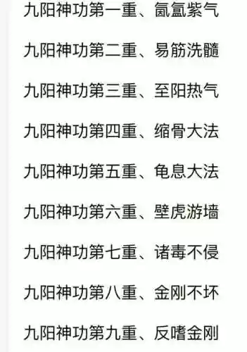 九阳神功视频攻略插图1