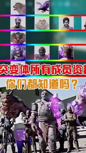 单人突突阵容插图1