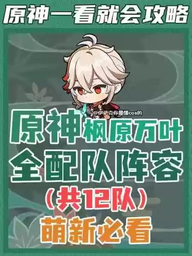 枫原阵容插图